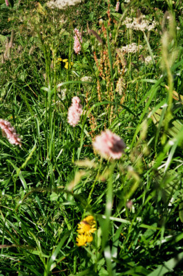 Corso di Escursionismo